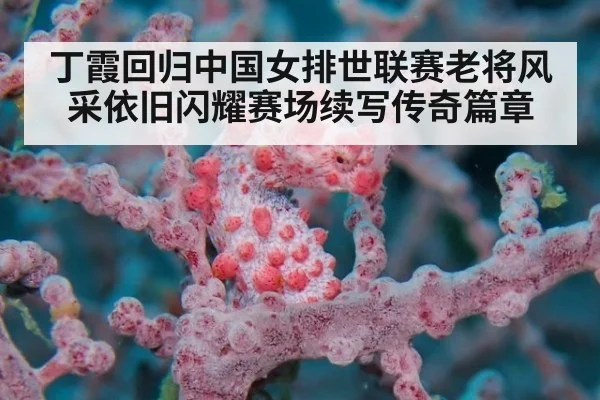 丁霞回归中国女排世联赛老将风采依旧闪耀赛场续写传奇篇章